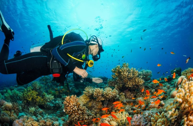 Top Beach Activities for All Ages